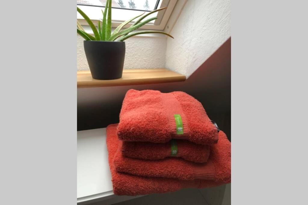 Komfortferienwohnung Harzglueck Auf 2 Etagen Hohegeiß Esterno foto