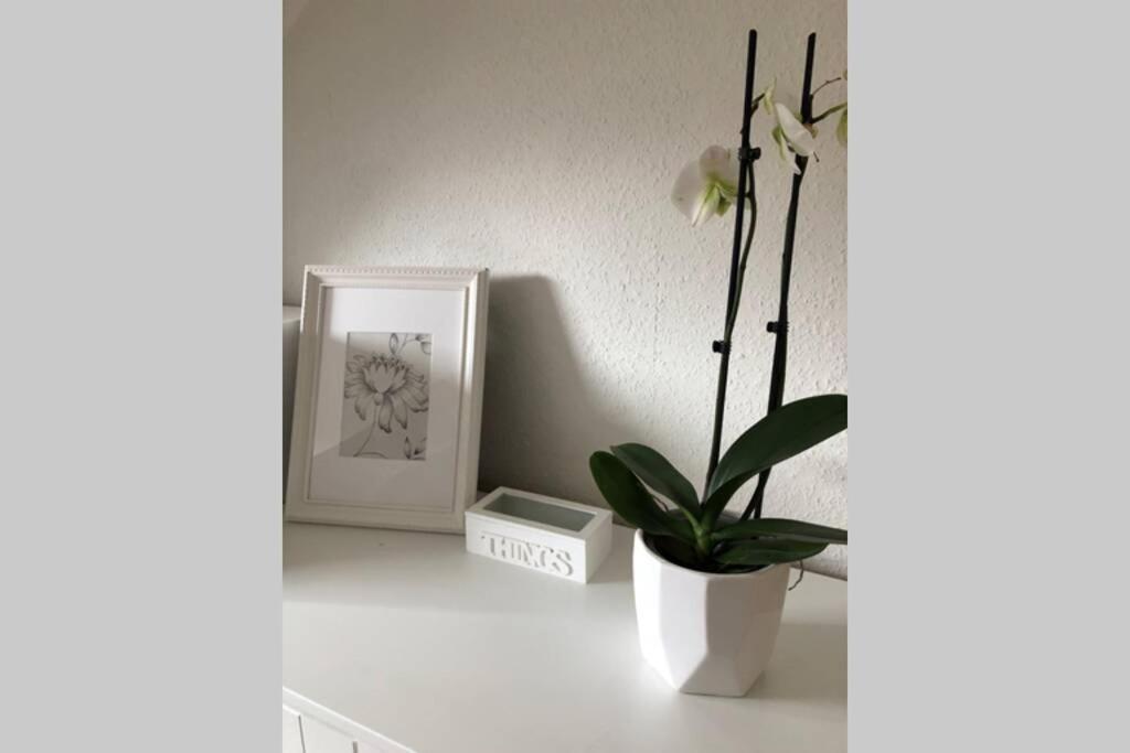 Komfortferienwohnung Harzglueck Auf 2 Etagen Hohegeiß Esterno foto