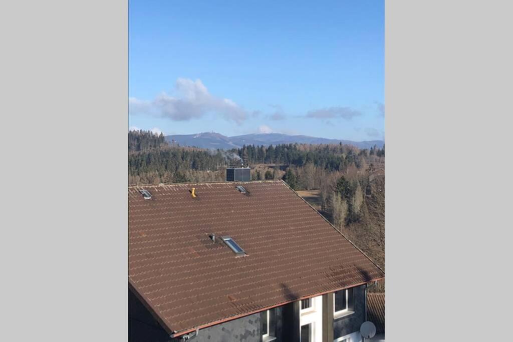 Komfortferienwohnung Harzglueck Auf 2 Etagen Hohegeiß Esterno foto